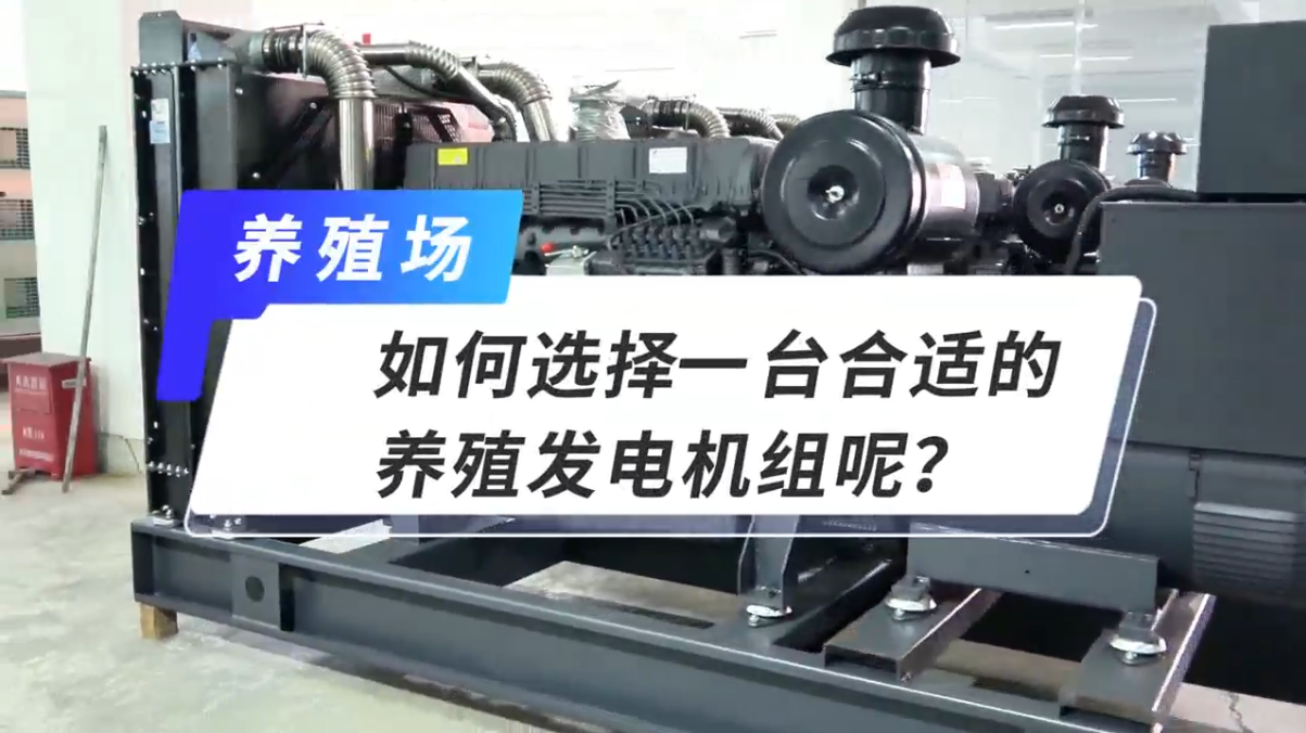 「視頻」如何選擇一臺合適的養殖發電機組呢？